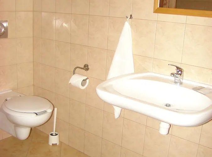 ホテル Pod Debem *